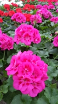 20160423_142303