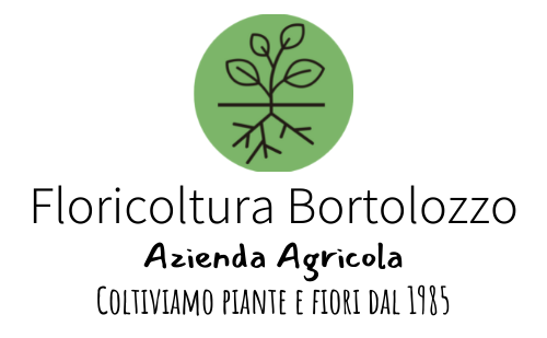 FLORICOLTURA BORTOLOZZO